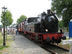 IMG_0110 (Medium)